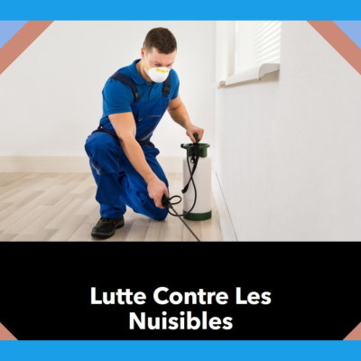 désinsectisation-Paris-75-sos-nuisible-express luttez contre les nuisibles avec sos nuisibles express